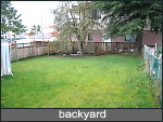 fenced backyard